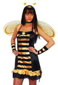 Faschingskostüm Karneval Biene Bienenkönigin Gr.34/36 kleine 38