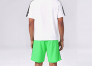 Adidas Adicolor Firebird Shorts grün Gr.2XL